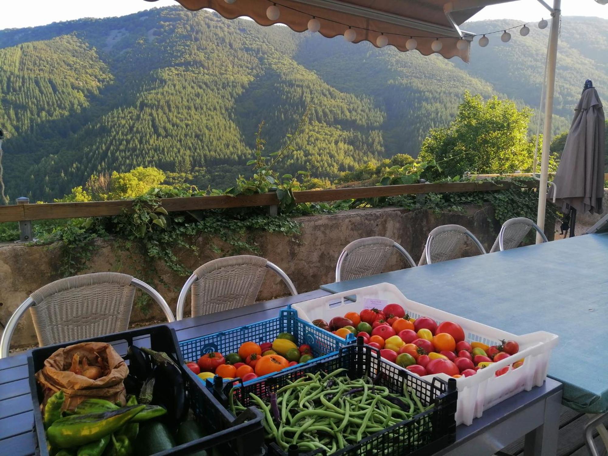 Les Chambres De La Ferme De Chalas Valgorge Kültér fotó