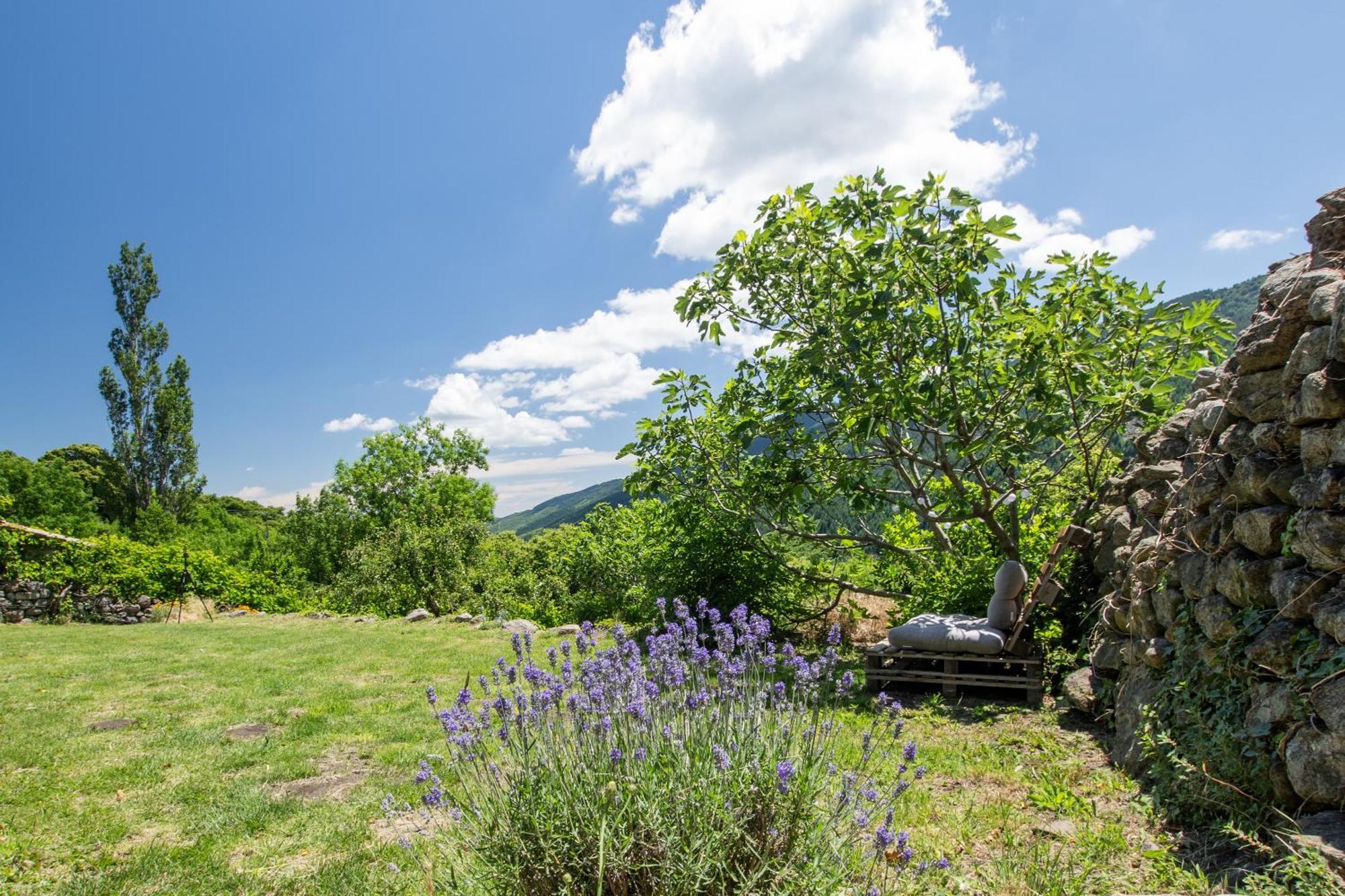 Les Chambres De La Ferme De Chalas Valgorge Kültér fotó