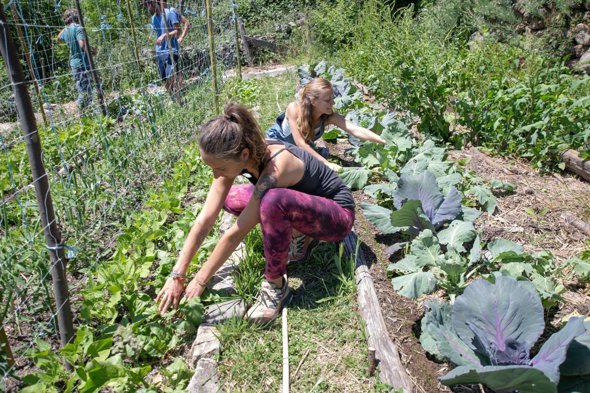 Les Chambres De La Ferme De Chalas Valgorge Kültér fotó