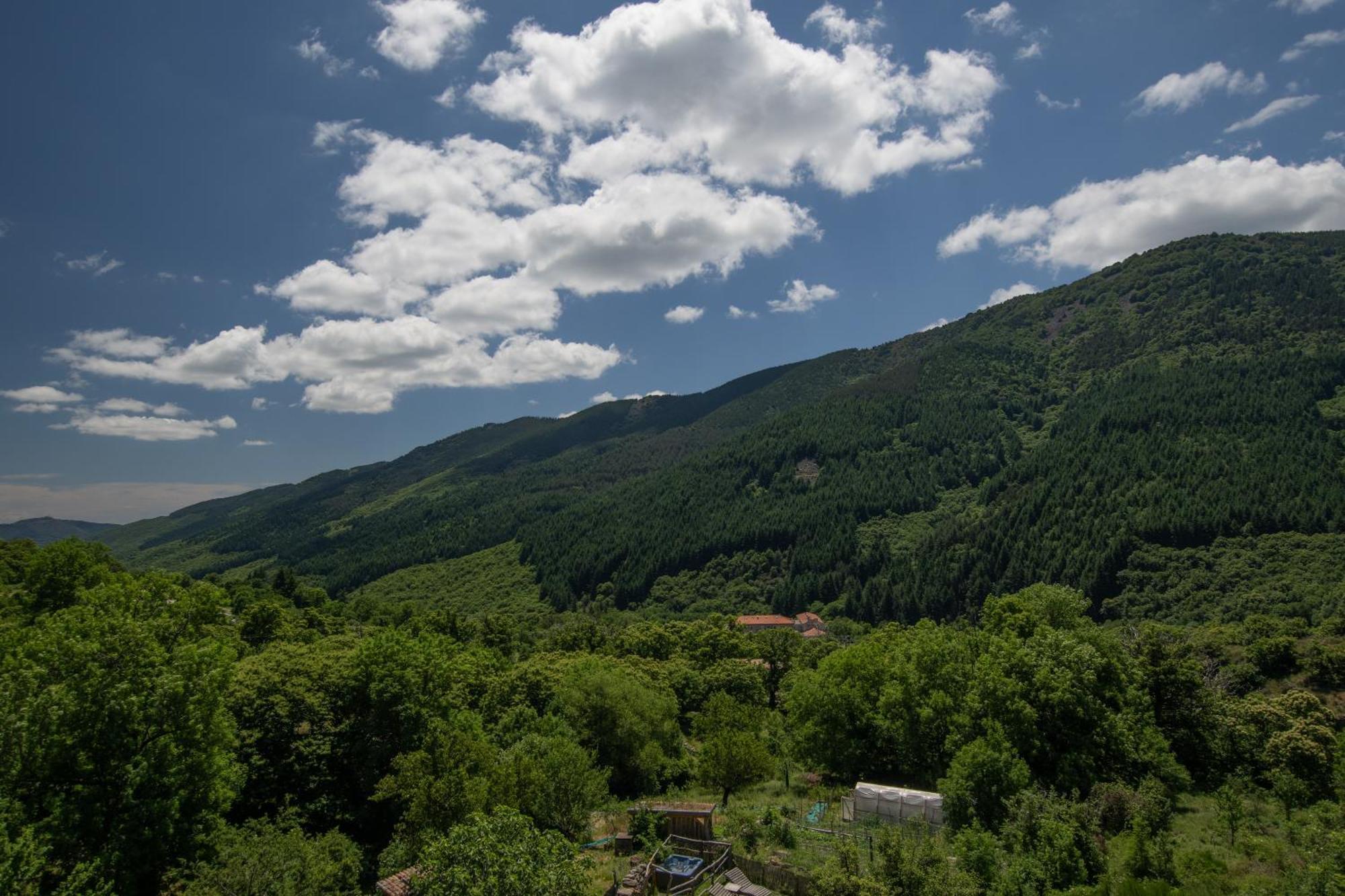 Les Chambres De La Ferme De Chalas Valgorge Kültér fotó